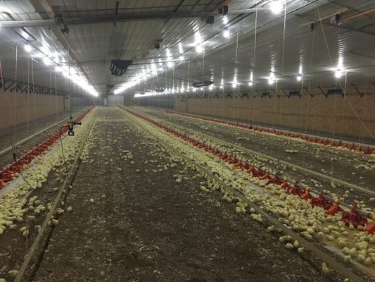 Galwanizowana konstrukcja oświetlenia stalowego