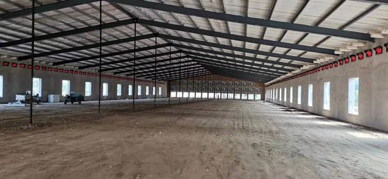 Prefabrykowana konstrukcja stalowa Dom dla drobiu Q235B Q355B Dom dla kurczaków