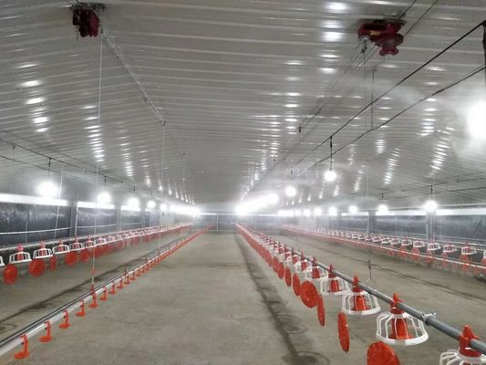 Galwanizowana prefabrykowana konstrukcja stalowa Dom kurczaków Dom kurczaków Kocioł ognioodporny