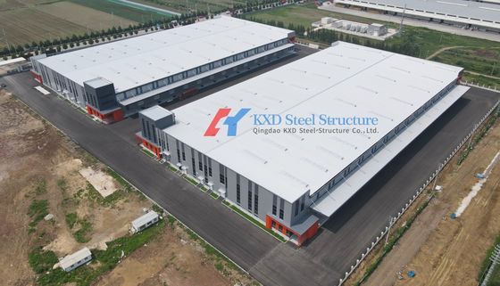 Warehouse Prefabricated Light Weight Steel Structure Buildings For Sale