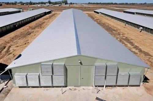 Modułowa konstrukcja stalowa Dom kurczaków Broiler Dom gospodarstwa hodowlany Stodoła drobiowa Prefabrykowane budynki magazynowe