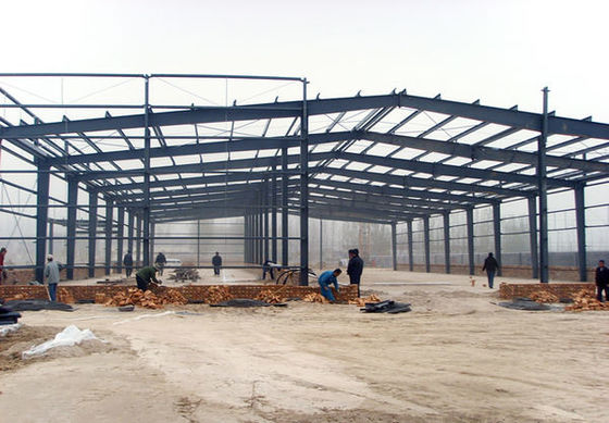 Low cost steel structure warehouses with middle column design