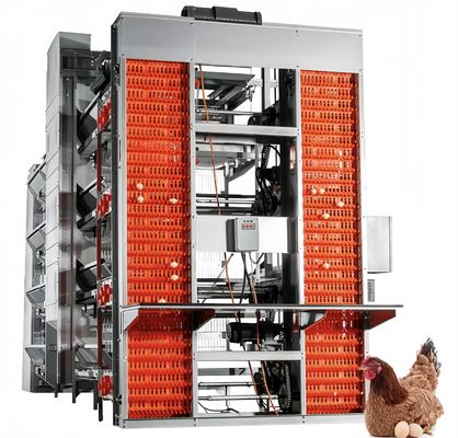 Rodzaj akumulator warstwy kurczaka klatka automatyczne kurczaka utrzymanie drobiu
